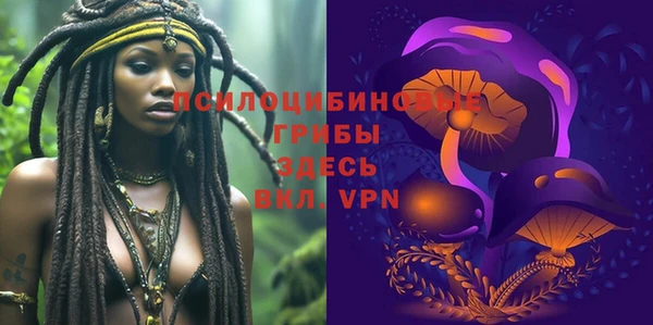 меф Мегион